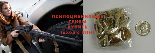 твердый Осинники