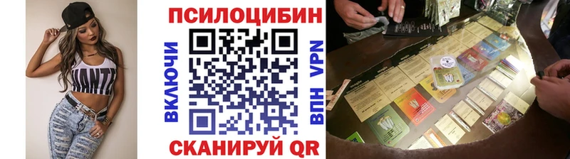цены   Биробиджан  Псилоцибиновые грибы Magic Shrooms 