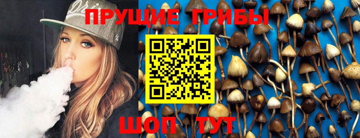 Псилоцибиновые грибы MAGIC MUSHROOMS Биробиджан