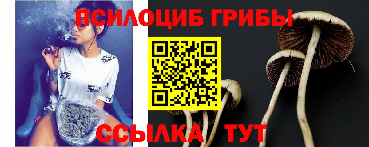 Галлюциногенные грибы Magic Shrooms  Биробиджан  Псилоцибиновые грибы GOLDEN TEACHER 