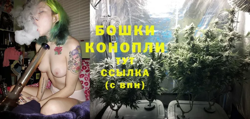 Бошки марихуана OG Kush  Биробиджан 